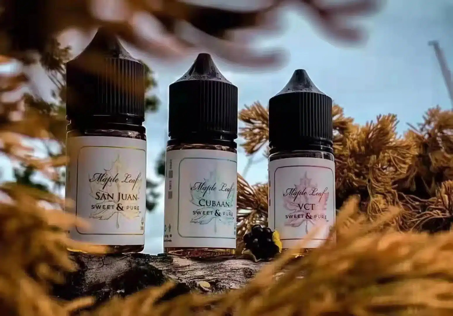  - 電子煙潮流商城